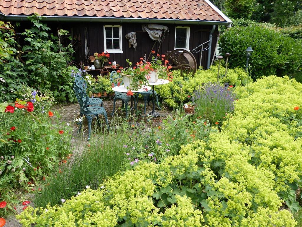 B&B en Appartementen Triënte Buinen Buitenkant foto